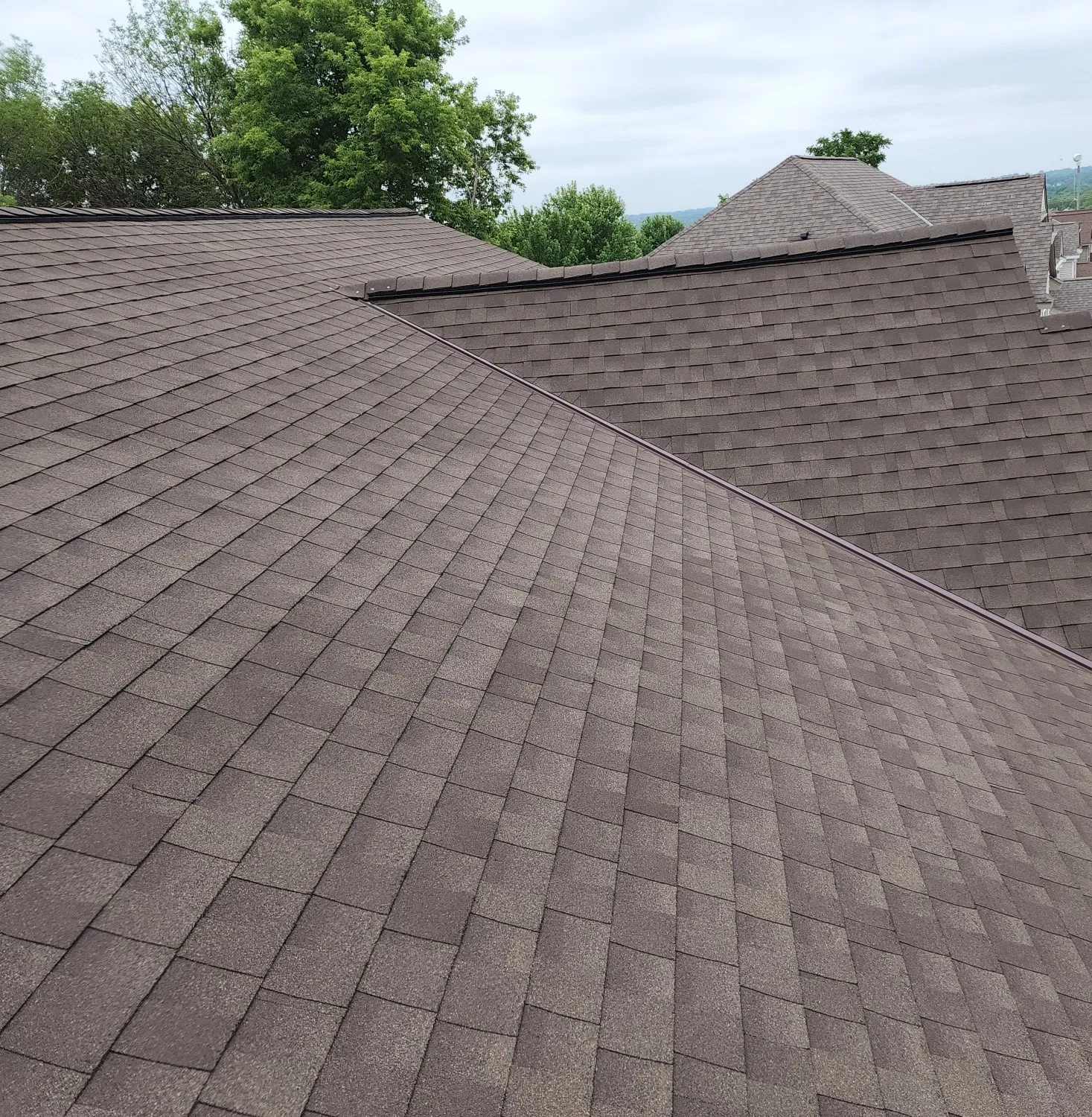 Roofing Contractor