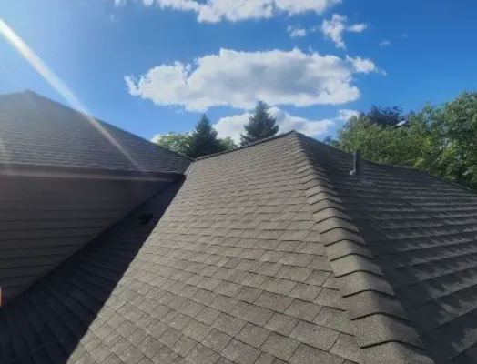 Roofing Contractor